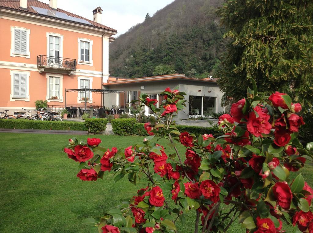 B&B Villa Dei Pini Cannobio Exterior foto
