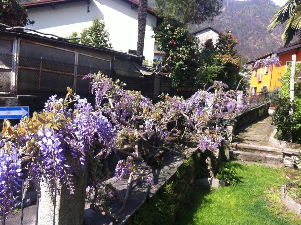 B&B Villa Dei Pini Cannobio Exterior foto