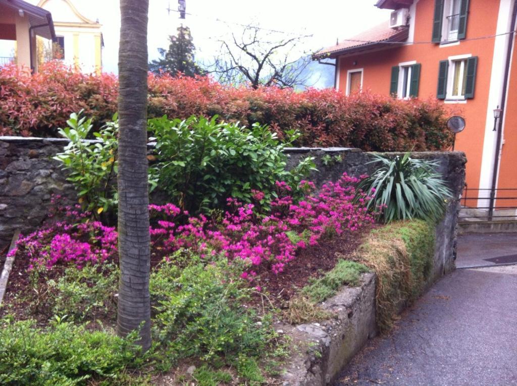 B&B Villa Dei Pini Cannobio Exterior foto