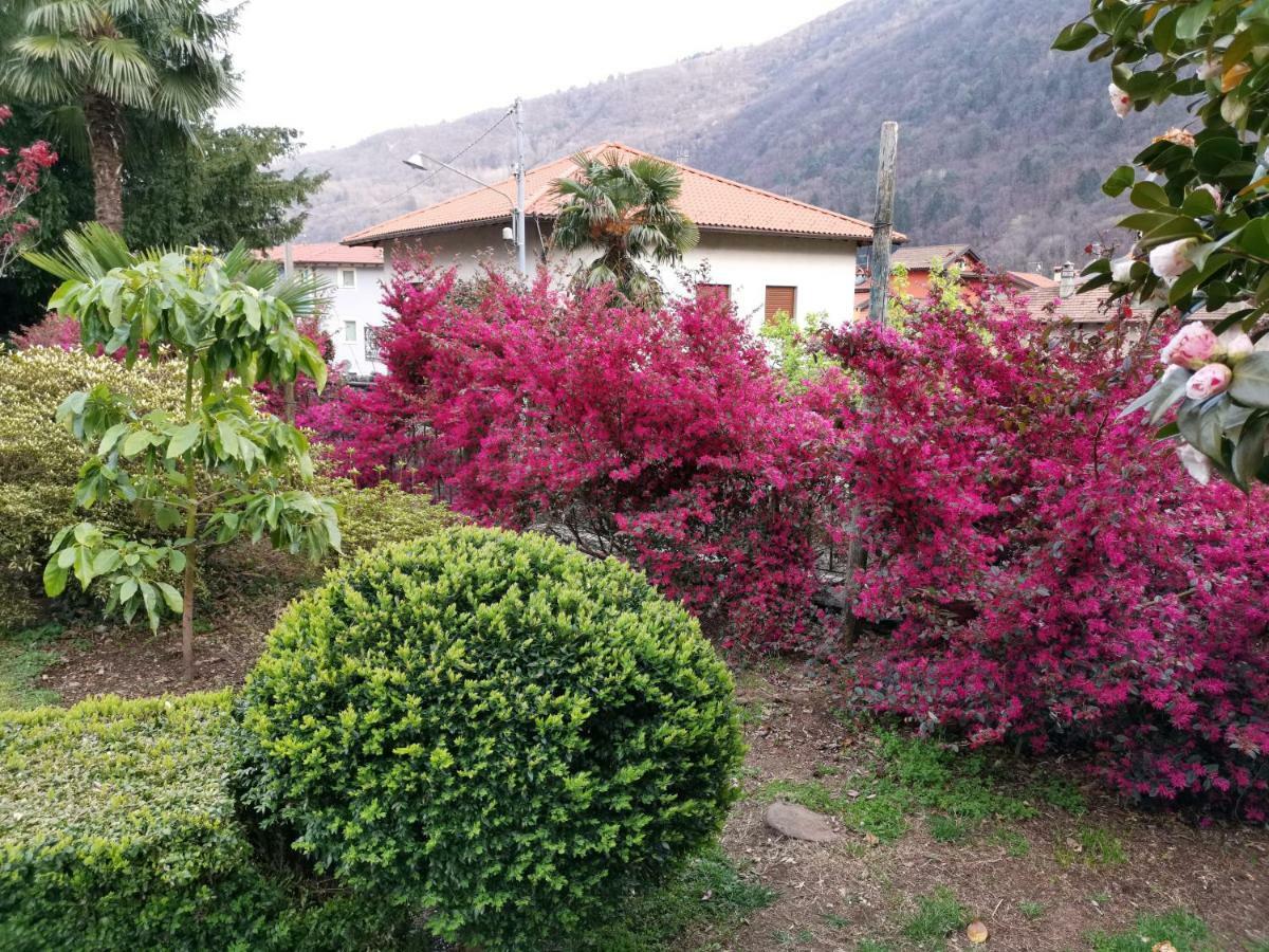 B&B Villa Dei Pini Cannobio Exterior foto